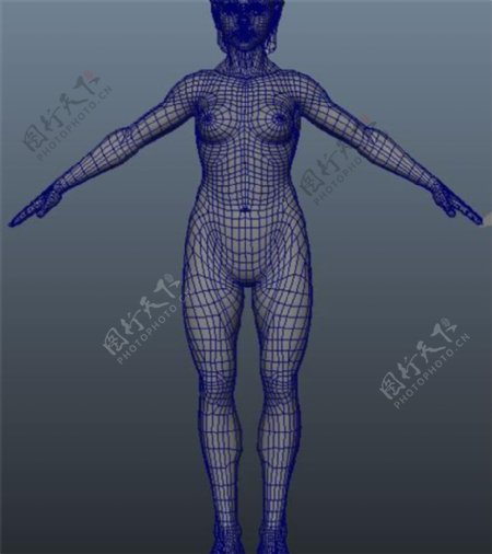 3D人物体型游戏模型