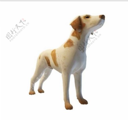 小狗3d模型