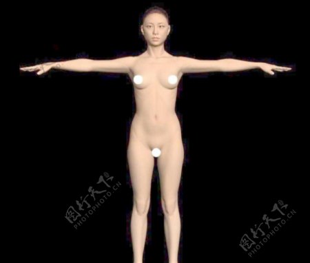 高精度女人体3D模型附高精度贴图