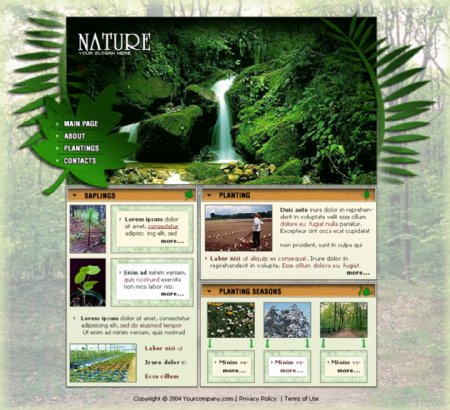 大自然保护机构网页模板