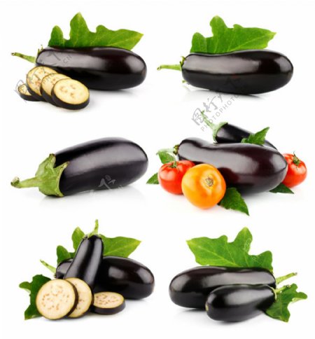 茄子蔬菜图片