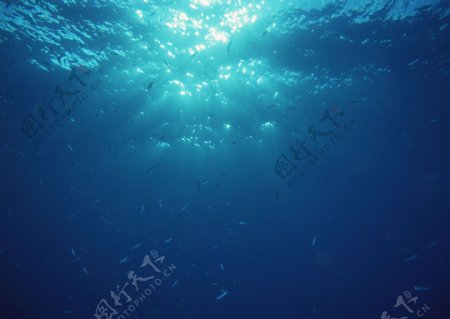 海洋海底光线图片