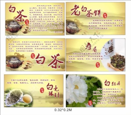 茶文化介绍资料CDR