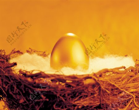 鸟巢中一颗漂亮的金蛋