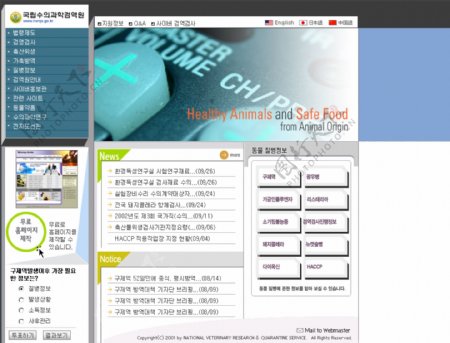 韩国生活保健类网页模板