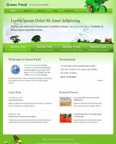 绿色服务CSS网页