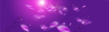 梦幻紫色背景素材PSD
