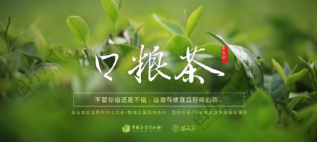 茶友会口粮茶网站海报设计
