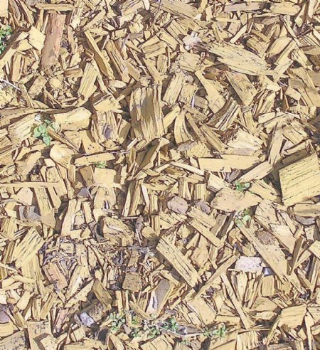 木材木纹国外经典木纹效果图3d材质图190
