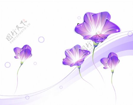紫色百合移门彩绘图案
