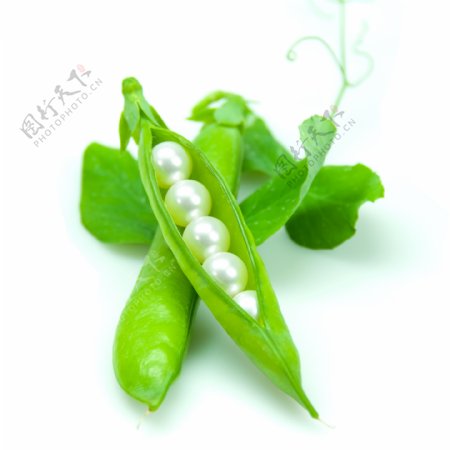绿豆珍珠