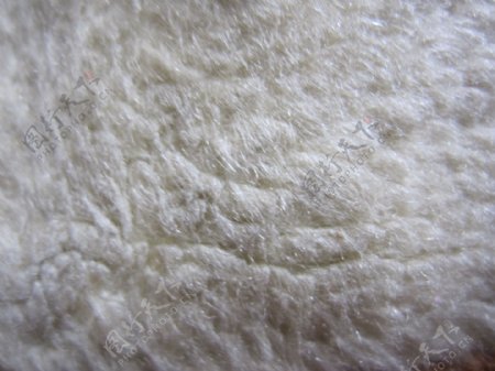 3D贴图浅米色人造毛绒布料材质