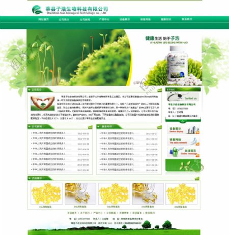绿色生物科技网页设计