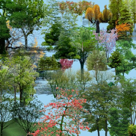 园林景观花草树林鸟瞰透视效果图psd分层4图片