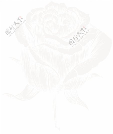 手绘花朵素材单朵玫瑰