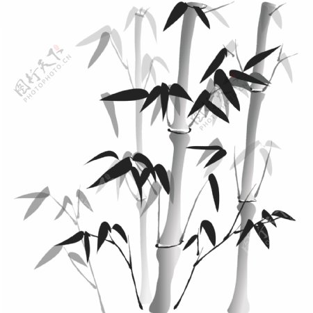 印花矢量图色彩黑白色灰色优雅植物免费素材
