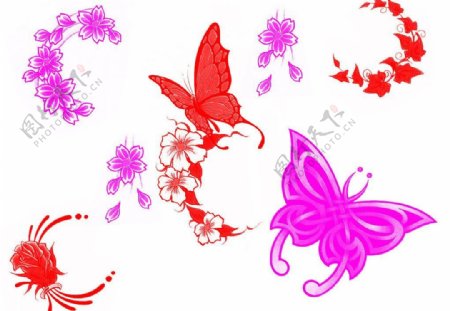 鲜花蝴蝶笔刷图片