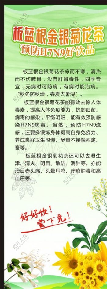 板蓝根金银菊花茶预防H7N9图片