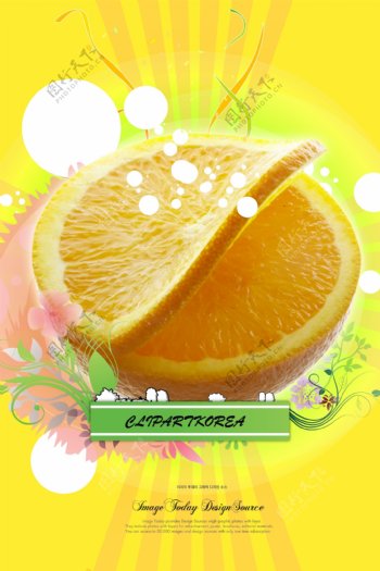 水果花纹底纹橙子切开的橙子09韩国设计元素psd分层素材源文件