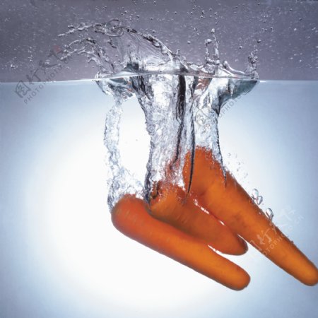 水中的胡萝卜图片