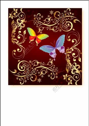 漂亮彩色蝴蝶与花纹矢量图