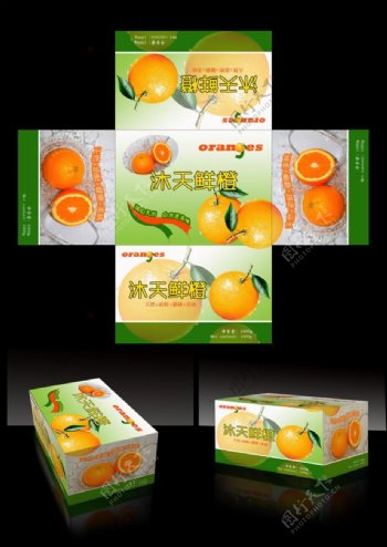 新鲜橙子包装纸箱设计psd素材