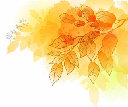 秋天树叶矢量图片免费下载