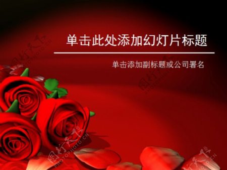 火红玫瑰花朵爱情PPT模板