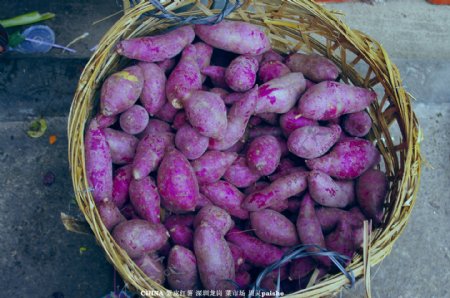 紫红薯副食菜图片
