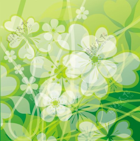 透明的绿色花卉矢量背景