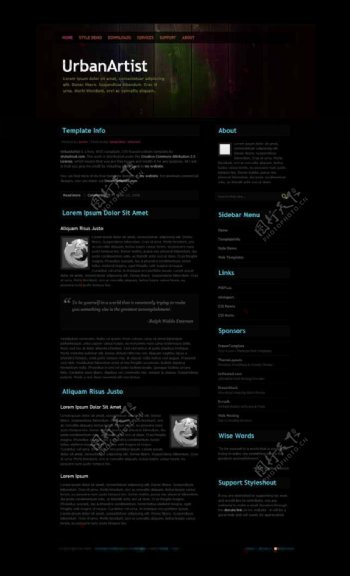 黑色个性的木纹网站模板