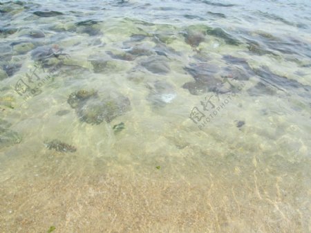 高清透明海水图片