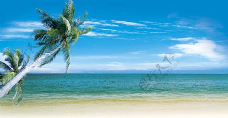蓝天白云大海椰树图片