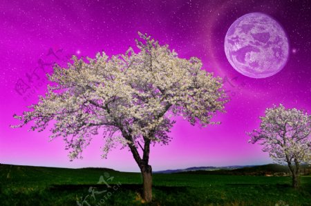 紫色天空圆月夜景图片