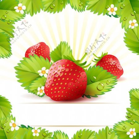 草莓主题背景01矢量素材
