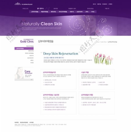 美容化妆品类网页模板图片