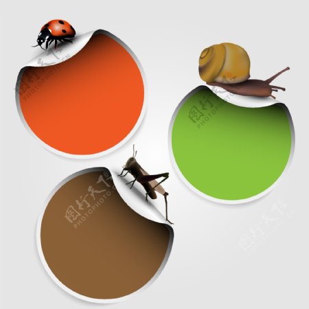 瓢虫蚂蚱蜗牛标签贴纸图片