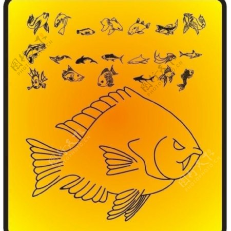 鱼矢量动物图案下载图片