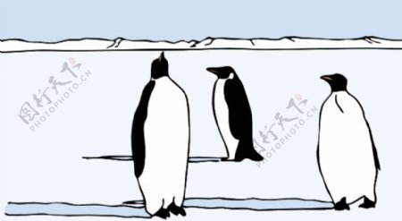企鹅的剪辑艺术