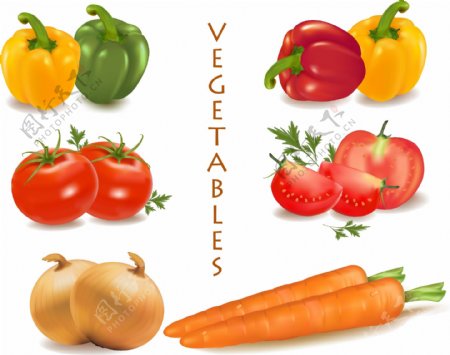 精美蔬菜素材