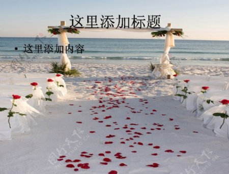 海边浪漫婚礼图片素材2节庆图片