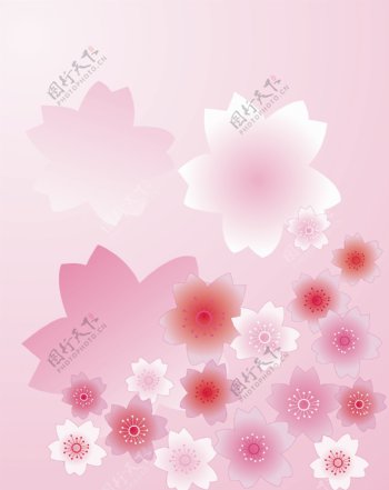 粉色浪漫花簇