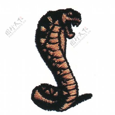 绣花动物蛇蟒蛇黑色免费素材