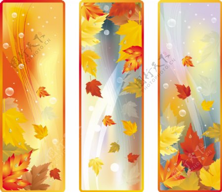秋季枫叶背景动感线条展板图片
