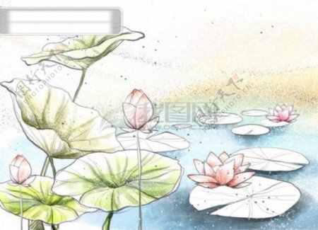 HanMaker韩国设计素材库背景淡彩色调意境荷花荷叶绘画风格