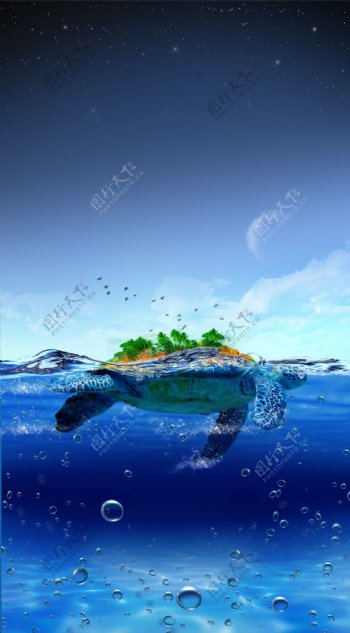 在海洋的大海龟岛