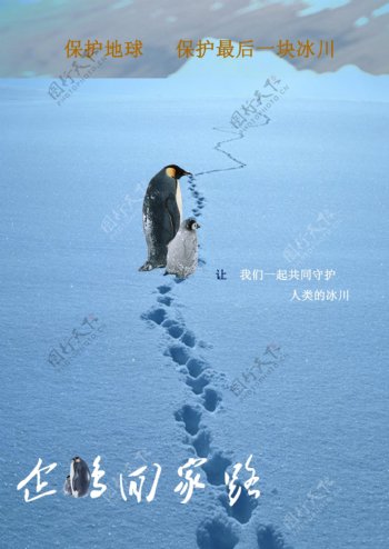 企鹅回家路