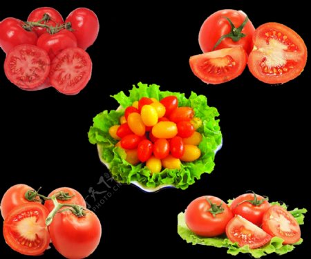 水果西红柿图片