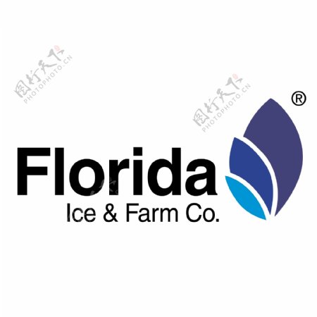 佛罗里达州冰农场有限公司