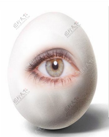 鸡蛋眼睛